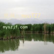 Ŀ