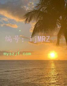 ޿