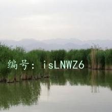 Ͻ